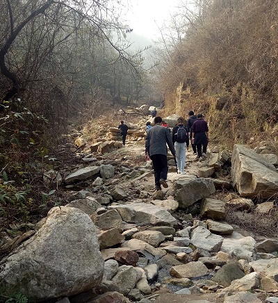 登顶嘉午台，饱览原始自然风光，益帆的踏青之旅